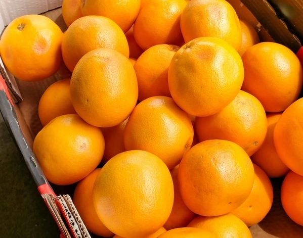 「そのままゴミにするなんて」　オレンジの皮が『天然クリーナー』になる裏技【4選】