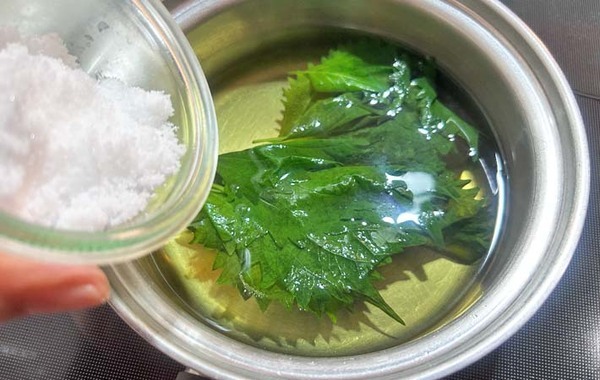 【飲む大葉レシピ】夫も子供も喜んだ！大葉の新しい楽しみ方