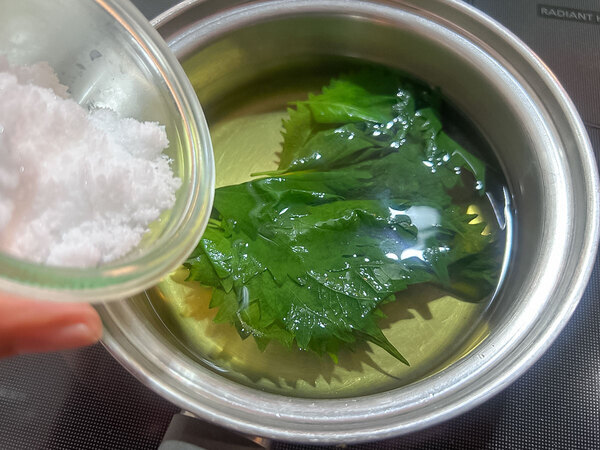 【飲む大葉レシピ】夫も子供も喜んだ！大葉の新しい楽しみ方