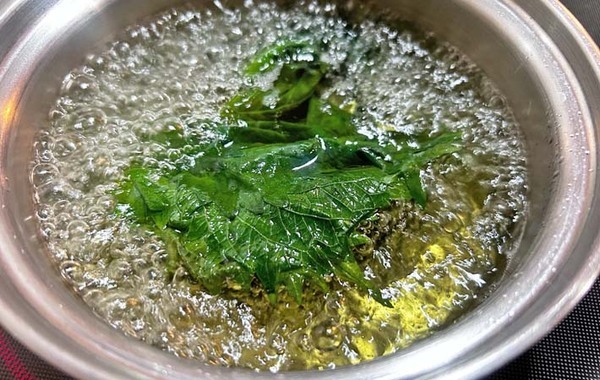 【飲む大葉レシピ】夫も子供も喜んだ！大葉の新しい楽しみ方