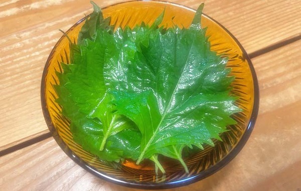 【飲む大葉レシピ】夫も子供も喜んだ！大葉の新しい楽しみ方