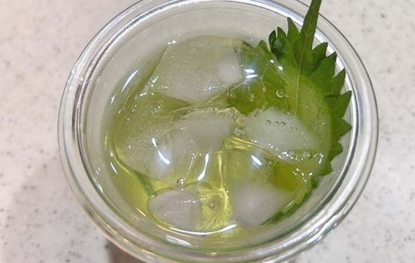 【飲む大葉レシピ】夫も子供も喜んだ！大葉の新しい楽しみ方