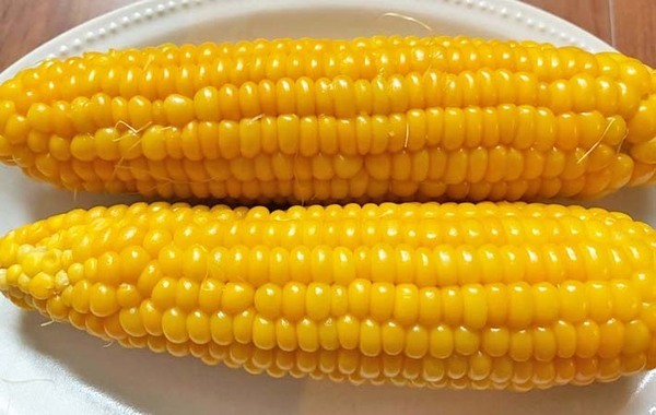 フライパンと電子レンジどっちがいい？　トウモロコシのゆで方、2つを比べてみると…？