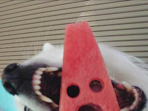 『顔はめ写真』を撮ろうとしたら…結果に「笑った」「情報量、多いな！」