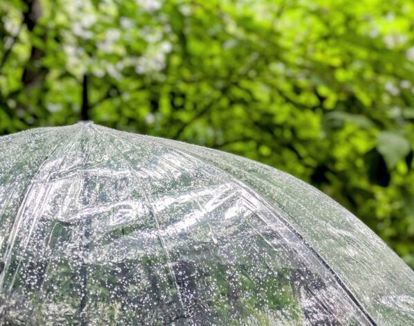 雨の散歩を終えた柴犬　見せた表情に「たまらん」「かわいすぎる」【表情豊かな柴犬4選】