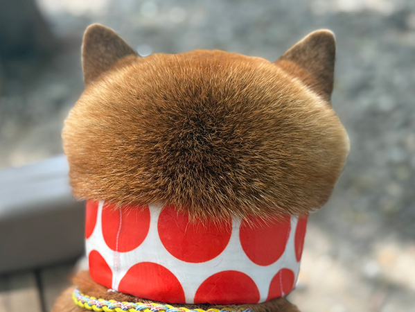 「ちょっと待って」「笑いすぎてお腹が痛い」　カップケーキみたいな後ろ姿の正体が？