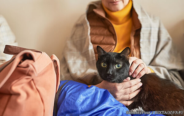 ペットを飼う人なら覚えておくべき！　ペットの【防災対策】とは？