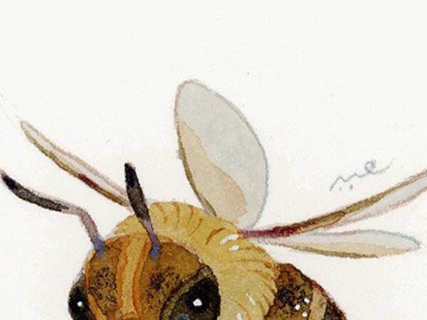 「新たな表現を開拓していきたい」水彩画を始めて5年…　成長に称賛の声