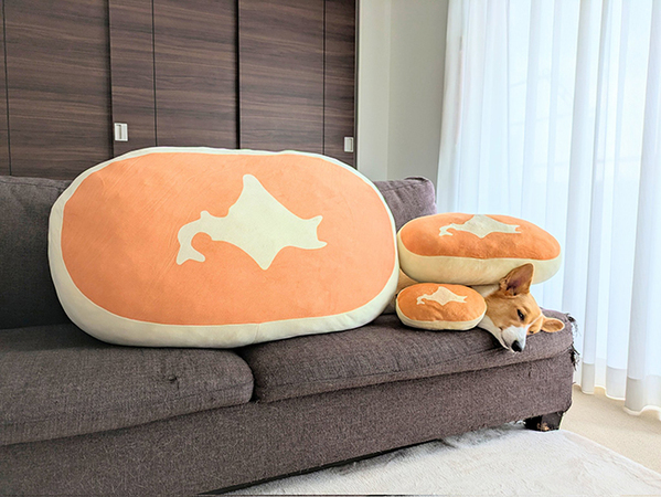 『北海道チーズ蒸しケーキ』3つのクッションの隙間に？　隠れる正体に「完全に溶け込んでいる！」