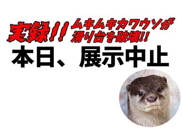 カワウソがすべり台を破壊…　水族館による『展示中止』のお知らせが「声に出して読みたい」と話題に