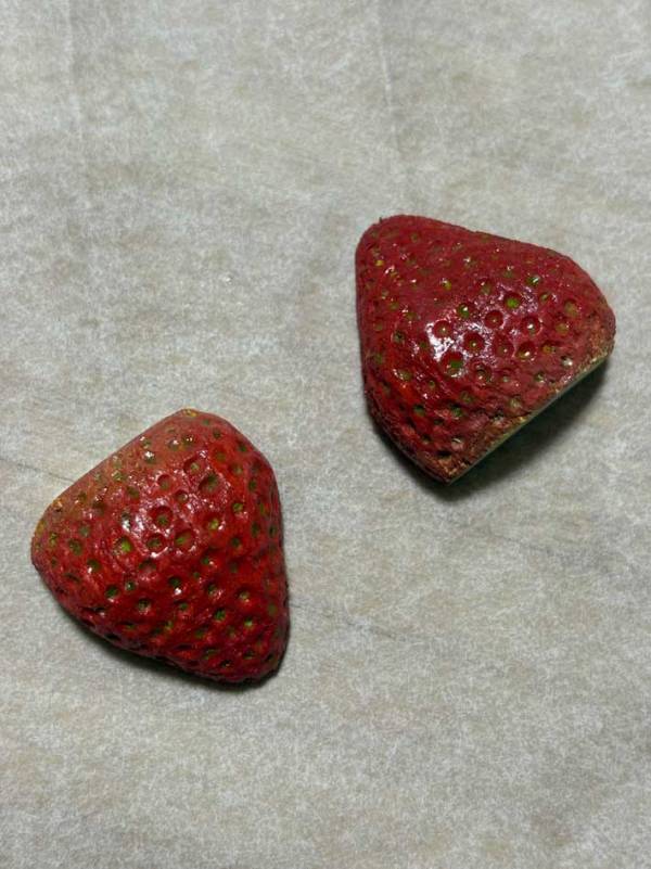 【本気で騙された】おいしそうな『ハニートースト』、実は…「クオリティ高すぎ」「天才小学生だ！」