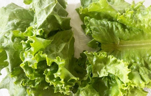 レタスやハムをくるくる巻いて…？　子供が食べやすいクレープに「また作って」