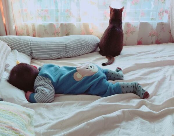 赤ちゃんのそばに近づこうとした猫　ドジな姿に「かわいすぎ」「最高の癒し」【心温まる猫4選】