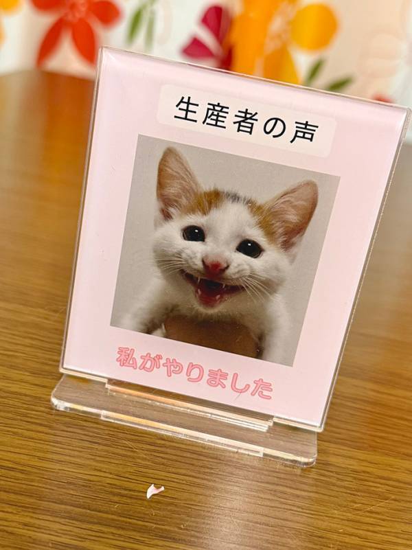 アクリルスタンドの前に置かれた『白い塊』　その正体に「なんて貴重なもの」「一生の宝物」