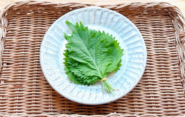 【これ作るために大葉買う】子供のおねだりが止まらない！　『大葉のパリパリ焼き』の作り方