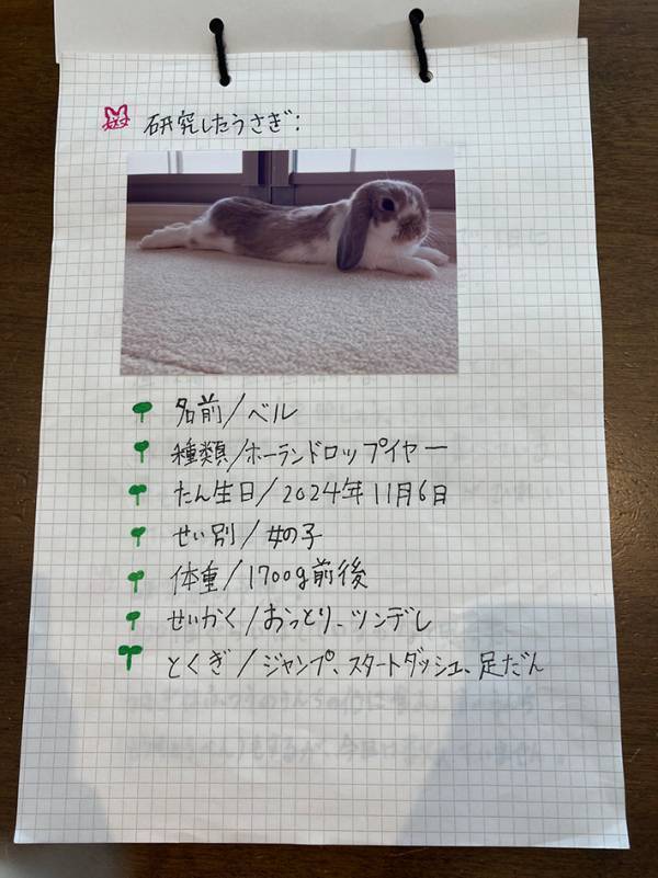 獣医を目指す小4娘が、取り組んだ自由研究　動物愛を感じるテーマに「花丸をあげたい！」