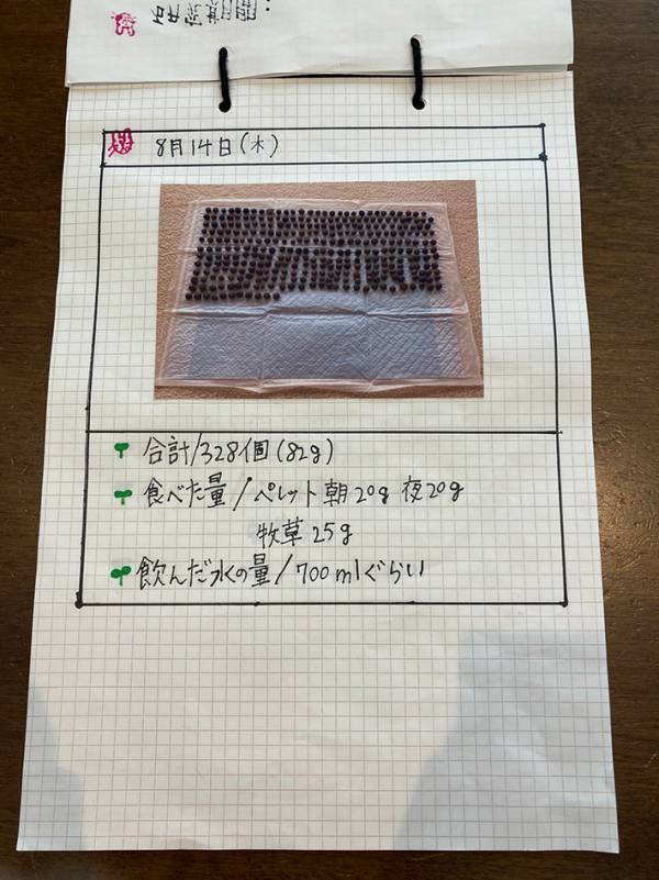 獣医を目指す小4娘が、取り組んだ自由研究　動物愛を感じるテーマに「花丸をあげたい！」