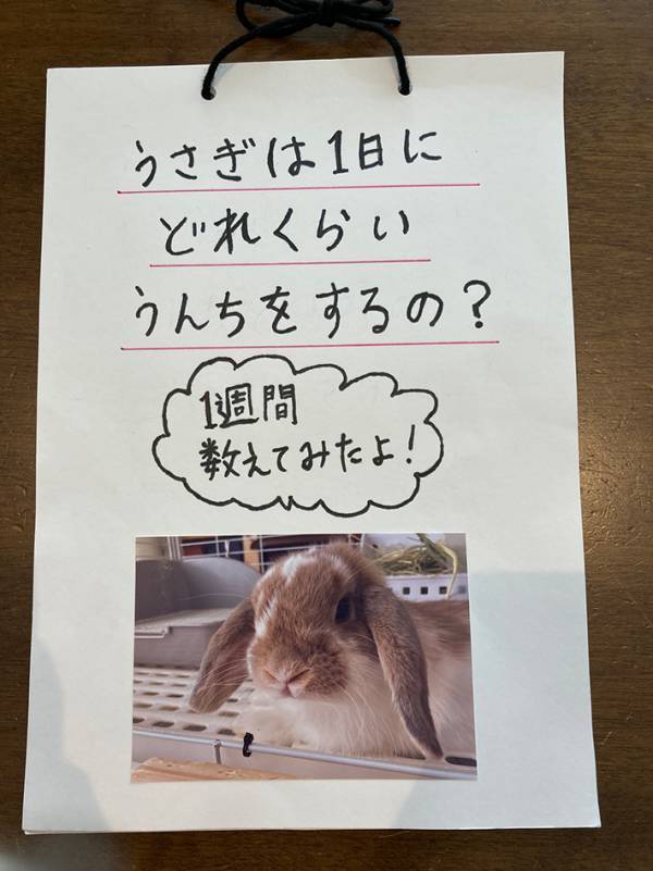 獣医を目指す小4娘が、取り組んだ自由研究　動物愛を感じるテーマに「花丸をあげたい！」