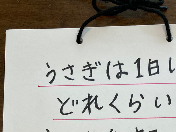 獣医を目指す小4娘が、取り組んだ自由研究　動物愛を感じるテーマに「花丸をあげたい！」