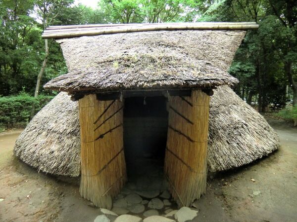 「歴史上の料理を食べたい」　息子の一言から始まった自由研究に「胸熱」「親も感動」【想像の上をいく小学生4選】