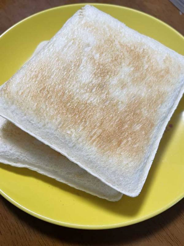 焼きたてのサンドイッチと猫が「似ている」？　飼い主が愛猫を連想した理由は…