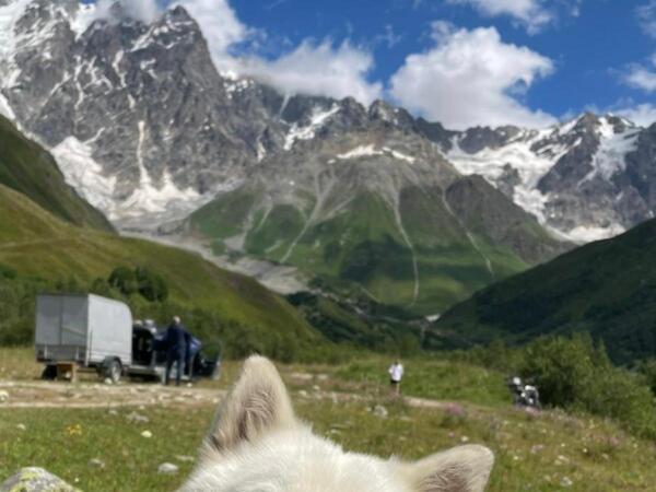 「写真映えする子だ！」　大自然の中で撮影した1枚　注目を集めたのは絶景ではなく？