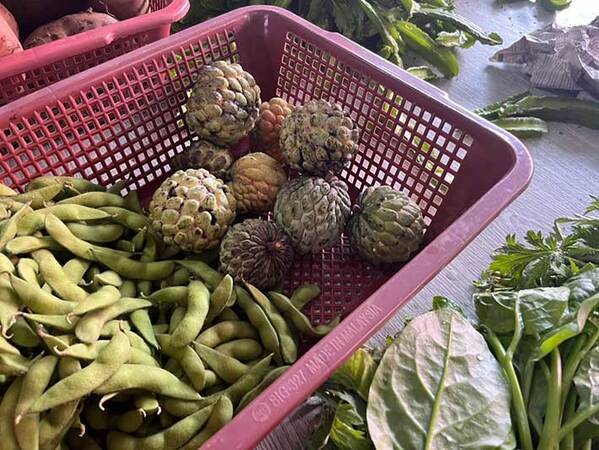 枝豆の隣にあった『見たことない果実』を家で食べてみると？「切った瞬間に…」