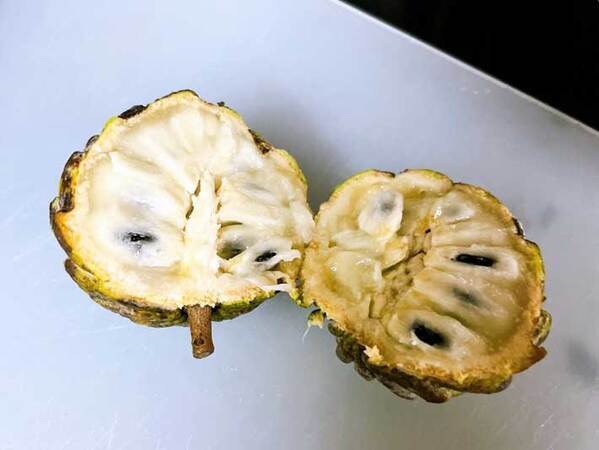 枝豆の隣にあった『見たことない果実』を家で食べてみると？「切った瞬間に…」