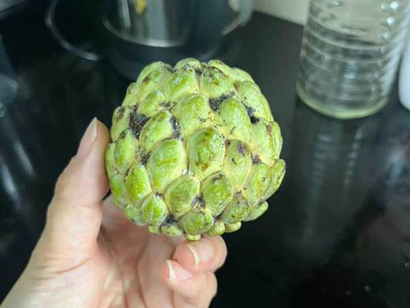 枝豆の隣にあった『見たことない果実』を家で食べてみると？「切った瞬間に…」