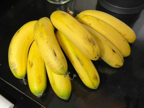 マレーシアの『バナナ』が手のひらサイズで可愛い　地元の人の食べ方は？