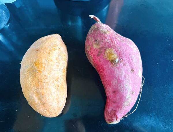 オムライスの隣に入れた『おかず』が…　小３息子「地獄みたいだね」