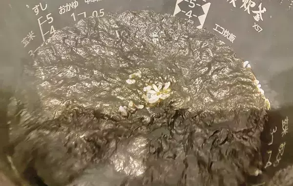 炊飯器に米と海苔を入れたら…　できた一品に「毎日これでいい」「疲れた夜にもぴったり」