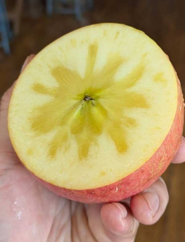 暗闇でリンゴを照らすと？　不思議な現象に「すごい」「コレは知らなかった」