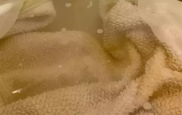 毎日使うタオル、黒ずんできたら…　洗濯のプロ直伝『リセット洗い』とは？