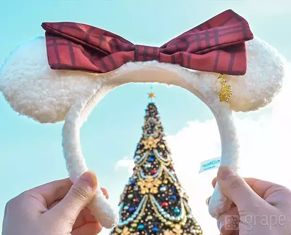 【ディズニー】クリスマスの写真スポット！　カメラマン直伝の撮り方とは？