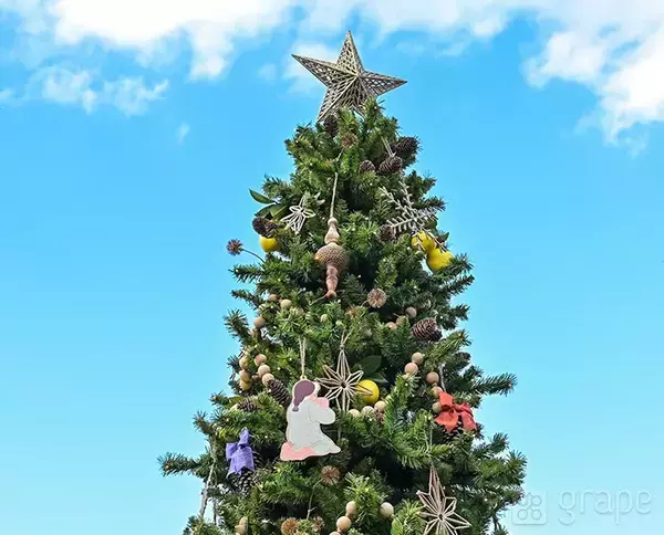 【ディズニー】クリスマスの写真スポット！　カメラマン直伝の撮り方とは？