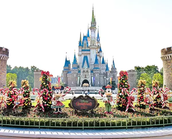 【ディズニー】クリスマスの写真スポット！　カメラマン直伝の撮り方とは？