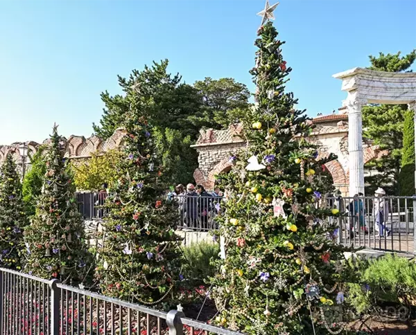 【ディズニー】クリスマスの写真スポット！　カメラマン直伝の撮り方とは？