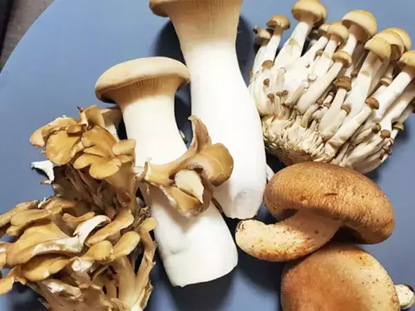 食べた夫が「弁当にも入れて！」と大絶賛　キノコと一緒に炒めたのは…【最強おかず】