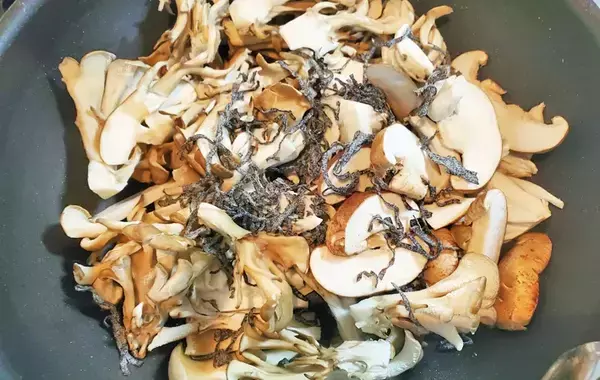 食べた夫が「弁当にも入れて！」と大絶賛　キノコと一緒に炒めたのは…【最強おかず】