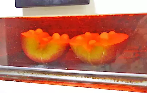 焼いてのせるだけ！　子供が驚く『りんごのおやつ』の作り方