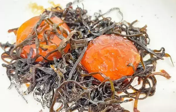 1日寝かせるだけ！　塩昆布と卵で作るレシピに「めっちゃ簡単」「ご飯が進む」