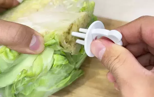 ダイソーのアイテムを刺して…？　キャベツを7日間、観察した結果が…