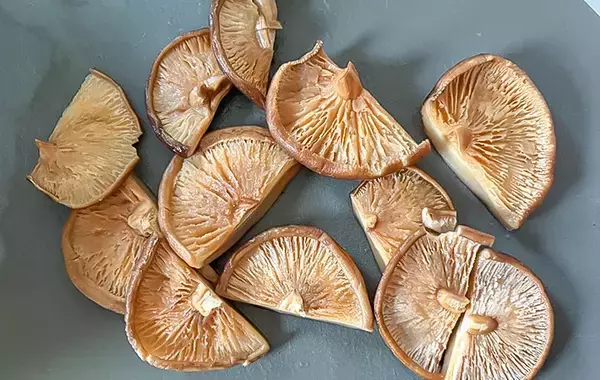 鶏手羽と一緒に煮込んだのは…？　子供が大喜びした『秋の味覚』堪能レシピ