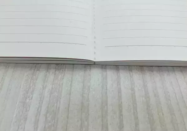 100均の域を超えた？　『ダイソー』のノートで字を書くのが楽しくなる