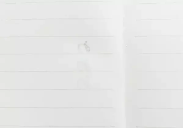 100均の域を超えた？　『ダイソー』のノートで字を書くのが楽しくなる