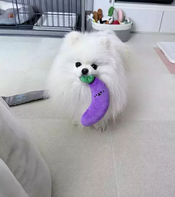 寝込む飼い主への『お見舞い』にぬいぐるみを置いた愛犬　しかし、その後…？