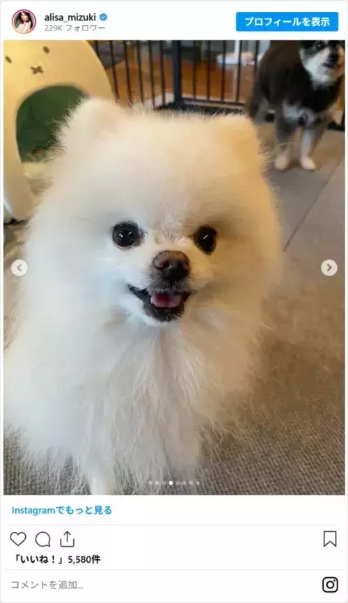 「49歳に見えない」　観月ありさ、誕生日ショットに「若すぎない？」