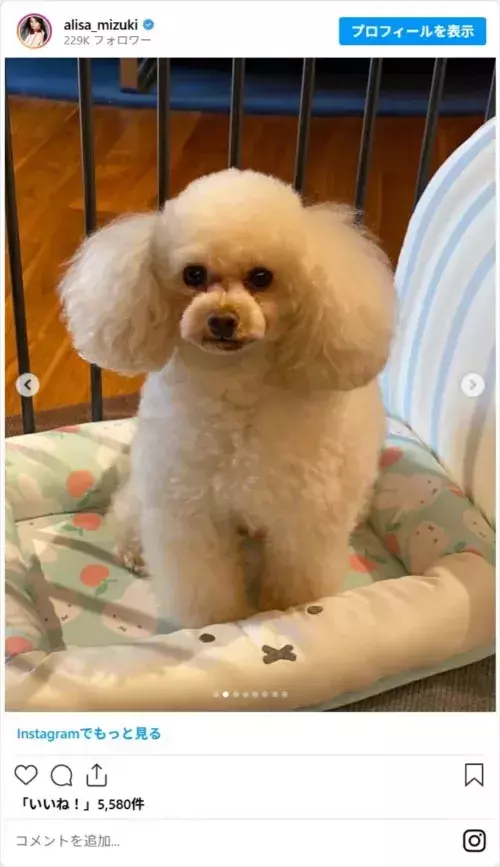 「49歳に見えない」　観月ありさ、誕生日ショットに「若すぎない？」