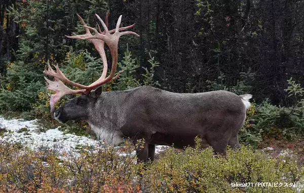 よく聞くはずなのに…！　漢字になると読めない名前とは【難読漢字3選】